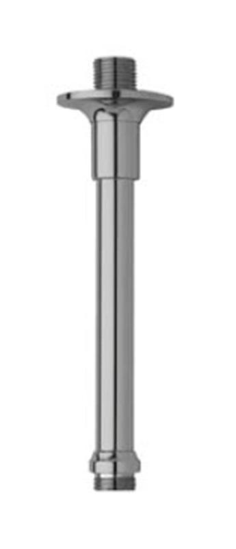 PB klassieke douche plafond arm RVS 30cm 1208898962